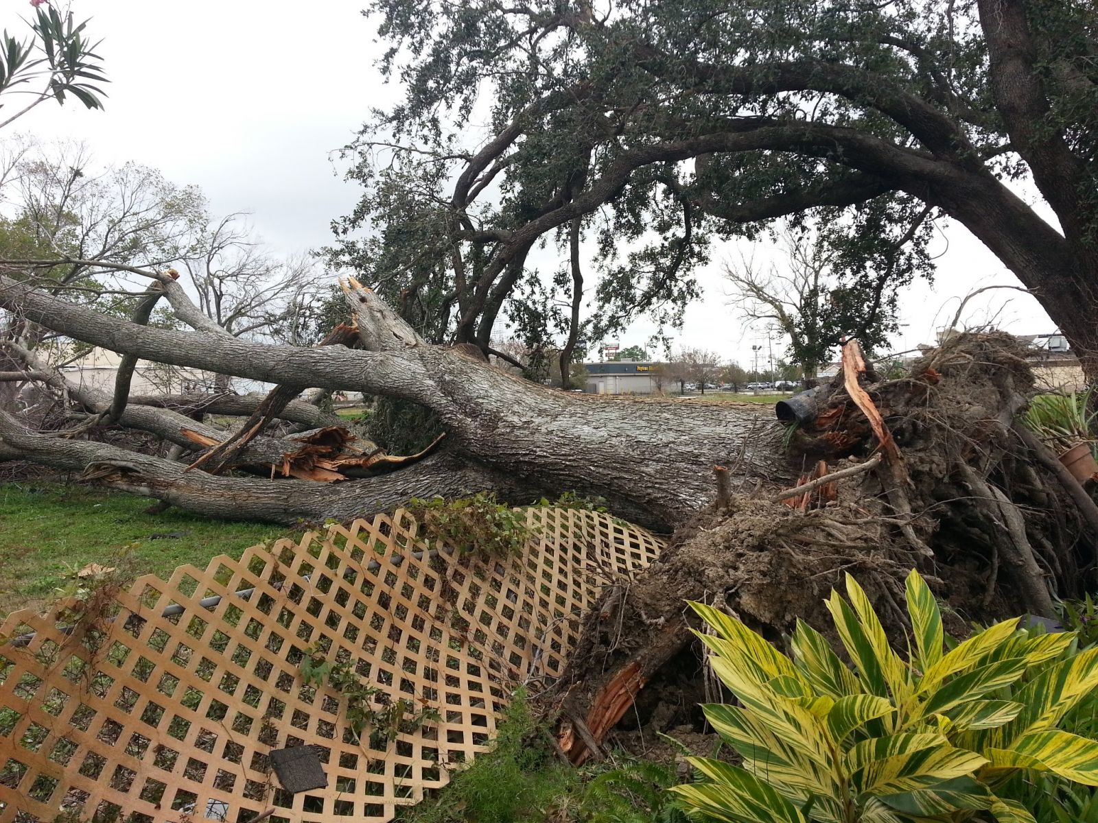 Damage